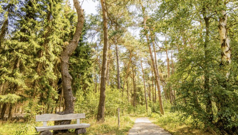 Natuurbegraven NL