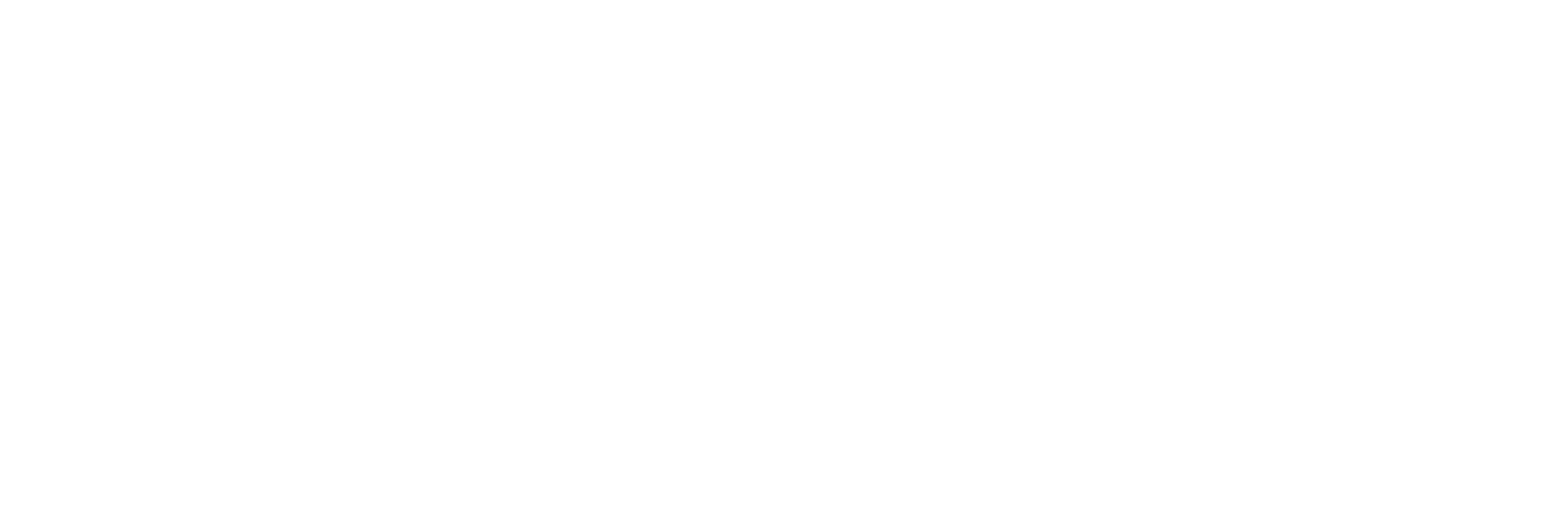 VICE