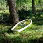 Loop ForestBed