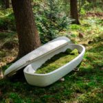 Imagen del Capullo Vivo Loop en el bosque con la tapa abierta, mostrando el revestimiento de musgo.