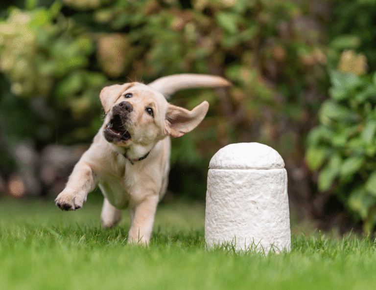 Ontwerp zonder titel (15)