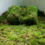 Moss (Standard)